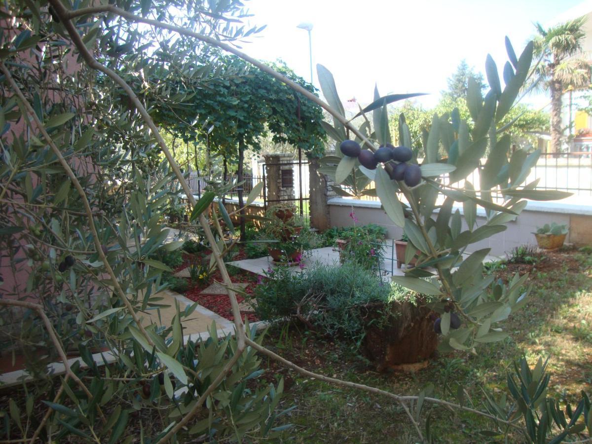 Comfortable Apartments In Peroj Near The Sea Kültér fotó